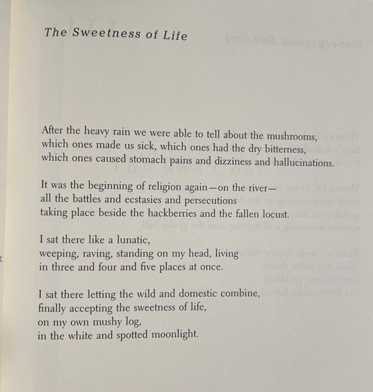 The sweetness of life - Meryl Natchez